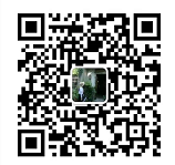 the qr code